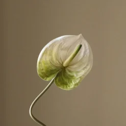Kunstige Blomster & Træer<Botané Anthurium Flower