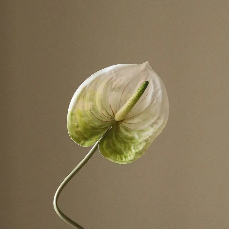 Kunstige Blomster & Træer<Botané Anthurium Flower