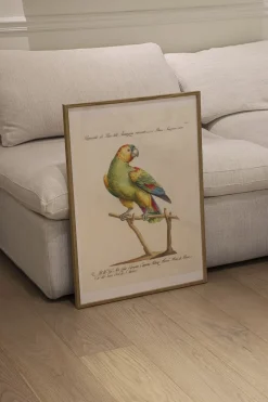 Plakater & Rammer<Poster & Frame Artimuus - Artimuus 141 Flerfarvet