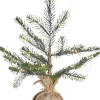 Elektriske Julelys<Sirius Bella Juletræ 20LED