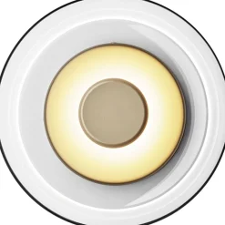 Væglamper<Nuura Blossi Wall, nordic gold / clear