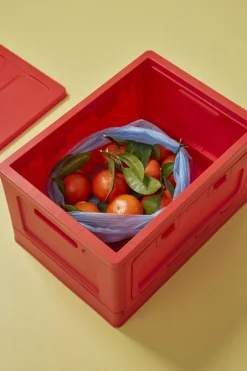 Opbevaring<Studio About Box, Small Red