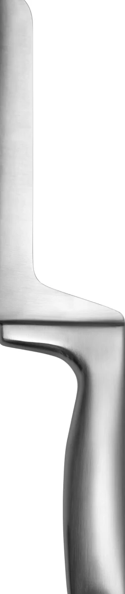 Bestik<Iittala Cct ostekniv