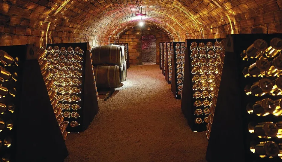 Bøger<Bøger Champagne - Wine of Kings and the King of Wines