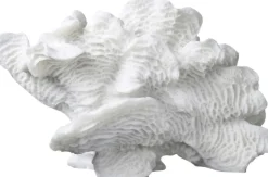 Figurer & Skulpturer<Mette Ditmer Coral, large fan
