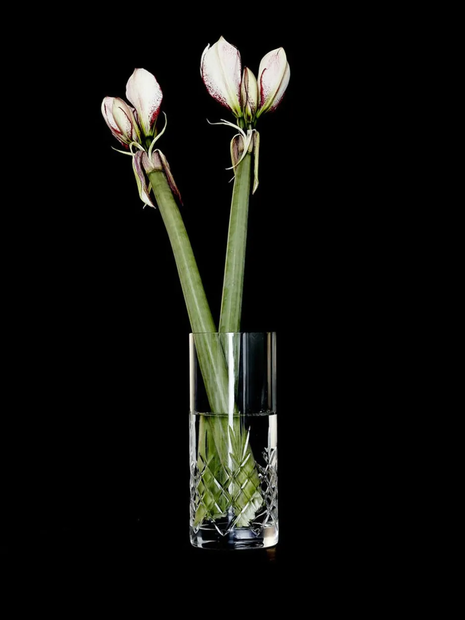 Vaser & Urtepotteskjulere<Frederik Bagger Crispy Love vase 1
