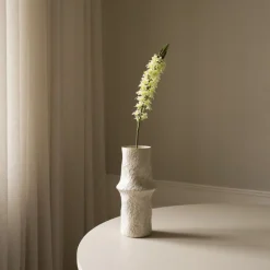 Figurer & Skulpturer<Botané Eremurus Large Foxtail Lily