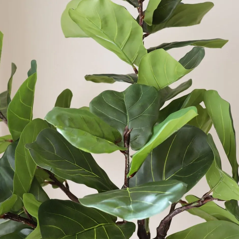 Kunstige Blomster & Træer<Botané Fiddle Leaf Fig