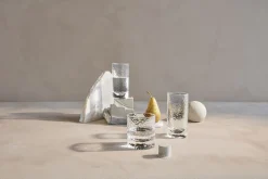 Glas<Holmegaard Forma Drinksglas klar 30 cl 2 stk.