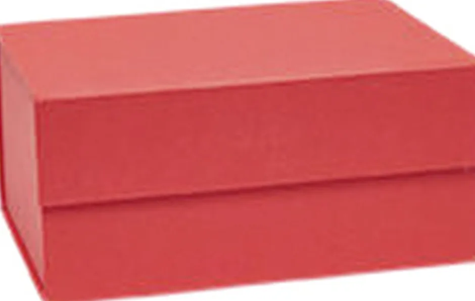 Kontorartikler<OYOY Living Design Hako Storages Box