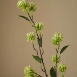 Kunstige Blomster & Træer<Botané Hamamelis Branch