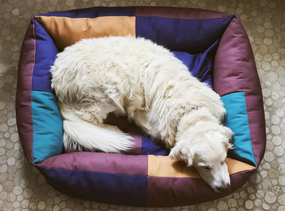 Til Boligens Kæledyr|Møbler<Hay Dogs Bed-Large-Burgundy, green