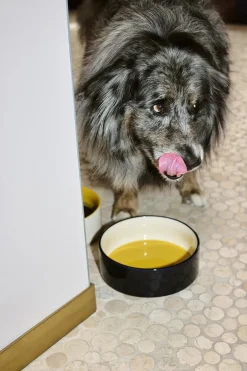 Til Boligens Kæledyr<Hay Dogs Bowl-Large-Yellow, blue