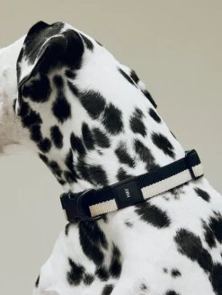 Til Boligens Kæledyr<Hay Dogs Collar Flat-M/L-Black, whi