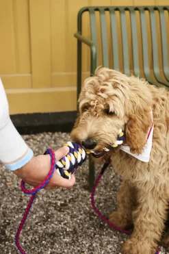 Til Boligens Kæledyr<Hay Dogs Rope Toy-Blue, purple, och