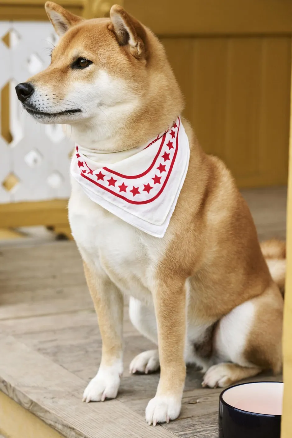 Til Boligens Kæledyr<Hay Dogs Scarf-55 x 55-Off-white