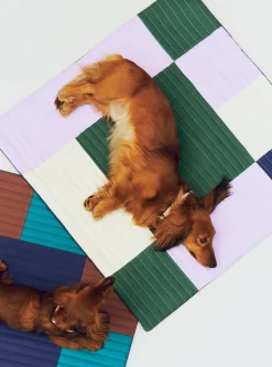 Håndklæder<Hay Dogs Travel Blanket-80 x 80-Lav