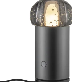 Trådløse Lamper<Blomus Iris mobile lamp Metal dark