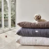 Til Boligens Kæledyr<OYOY Living Design Kyoto Hundepude - Medium