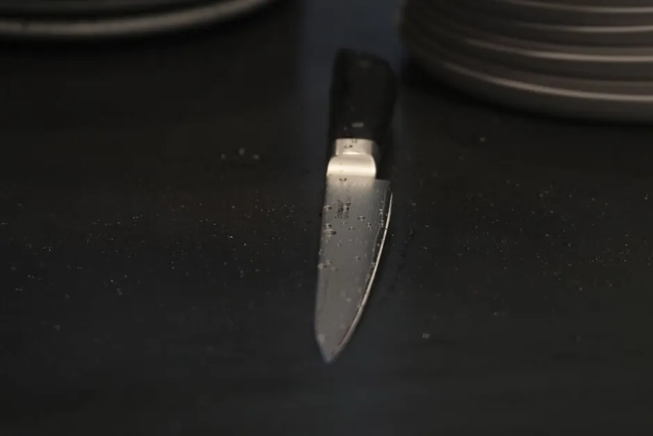 Køkkenknive & Sakse<Endeavour Meat - kniv 20 cm