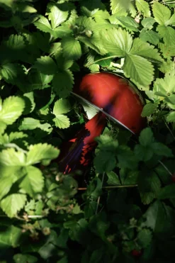 Trådløse Lamper<Hübsch Mush Portable Lamp Red