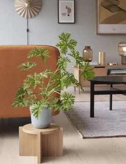 Møbler<Hübsch Nomad Plant Stand Natural