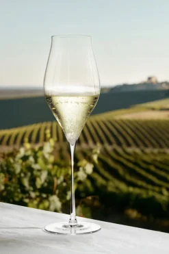Glas<Holmegaard Notes Champagneglas 38 cl klar 2 stk.