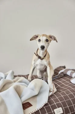 Til Boligens Kæledyr<OYOY Living Design Otte Hunde Reblegetøj