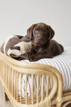 Til Boligens Kæledyr<OYOY Living Design Otte Hundeseng - Lille