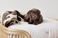 Til Boligens Kæledyr<OYOY Living Design Otte Hundeseng - Medium