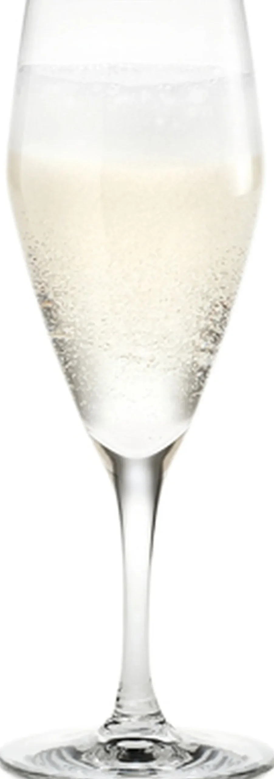 Glas<Holmegaard Perfection Champagneglas klar 23 cl 6 stk.