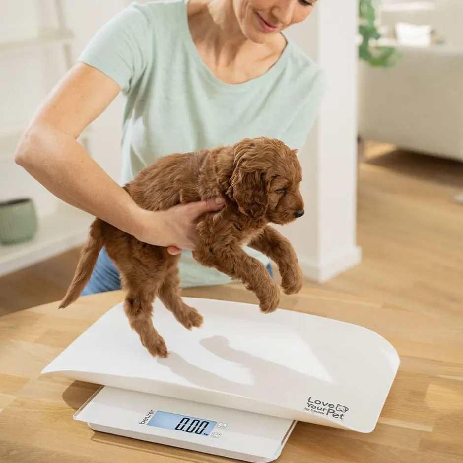 Til Boligens Kæledyr<Beurer PetCare PP 170 Polly Multifunktionsvægt til kæledyr