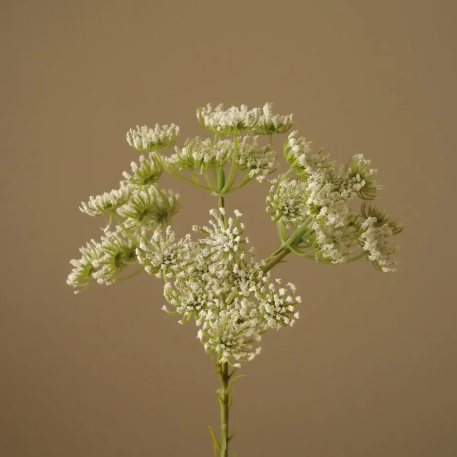 Kunstige Blomster & Træer<Botané Queen Anne's Lace Flower