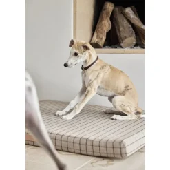 Til Boligens Kæledyr<OYOY Living Design Robin Hundehalsbånd - Lille