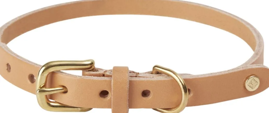 Til Boligens Kæledyr<OYOY Living Design Robin Hundehalsbånd - Medium