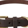 Til Boligens Kæledyr<OYOY Living Design Robin Hundehalsbånd - Medium