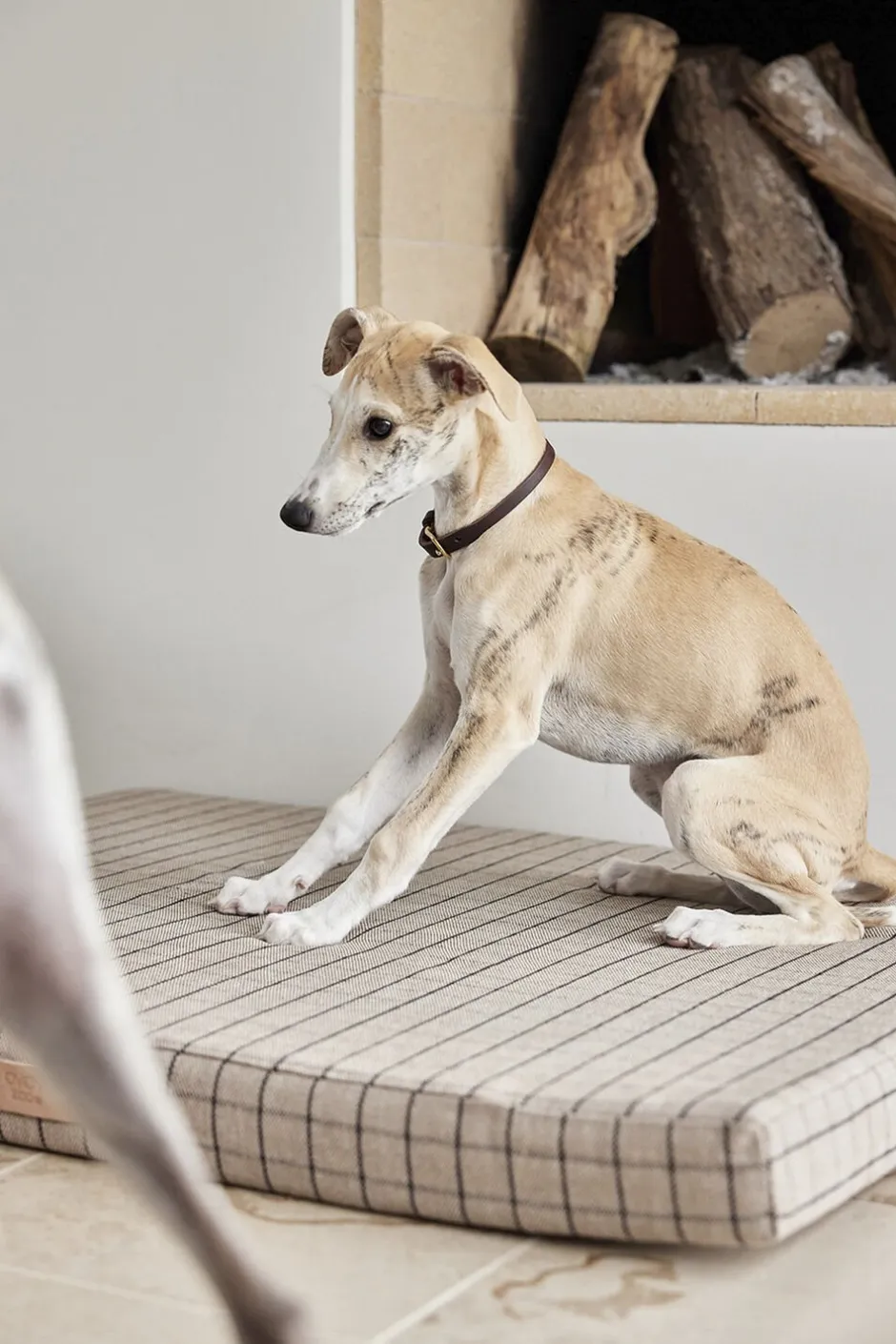 Til Boligens Kæledyr<OYOY Living Design Robin Hundehalsbånd - Stor