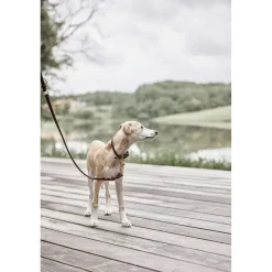 Til Boligens Kæledyr<OYOY Living Design Robin Hundesnor - M/L