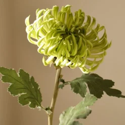Kunstige Blomster & Træer<Botané Semi-Cactus Dahlia Flower