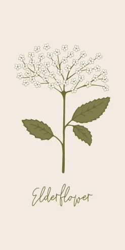 Tilbehør Til Bordet<Ib Laursen Serviet Elderflower 16 stk pr pakke