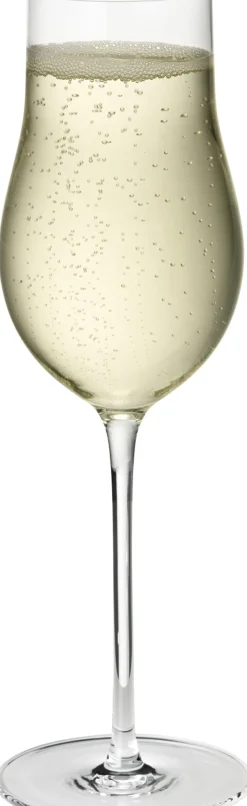 Glas<Georg Jensen SKY CHAMPAGNEGLAS, 25CL