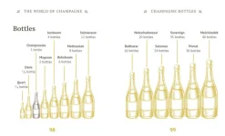 Bøger<Bøger The Little Book of Champagne