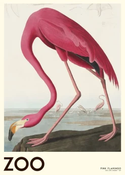 Plakater & Rammer<Poster & Frame The Zoo Collection Pink Flamingo Edt. 001 Flerfarvet