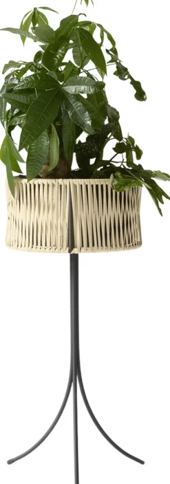 Vaser & Urtepotteskjulere<Audo Copenhagen Umanoff, Planter, H 69