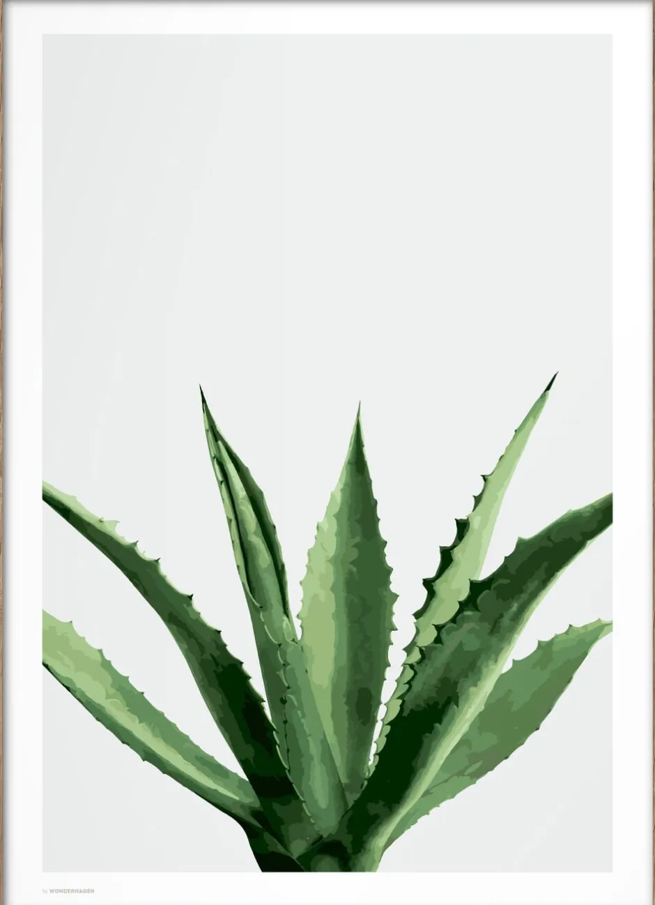 Plakater & Rammer<Poster & Frame Wonderhagen - Agave plakat Grøn