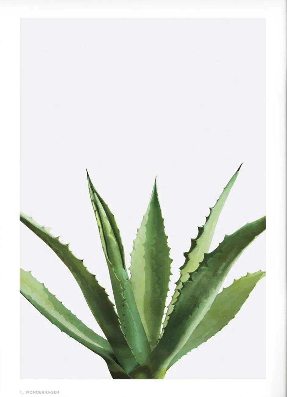 Plakater & Rammer<Poster & Frame Wonderhagen - Agave plakat Grøn